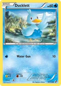 Ducklett - Black & White - #36 - Pokemon TCG card