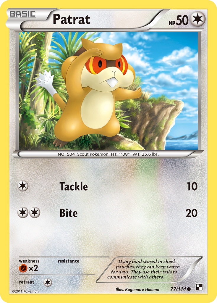 Patrat - Black & White - #77 - Pokemon TCG card