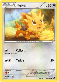 Lillipup #81 Lillipup - Black & White - #81 - Pokemon TCG card
