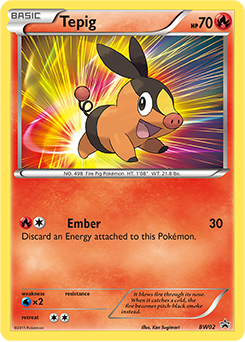 Tepig - BW Black Star Promos - #BW02 - Pokemon TCG card
