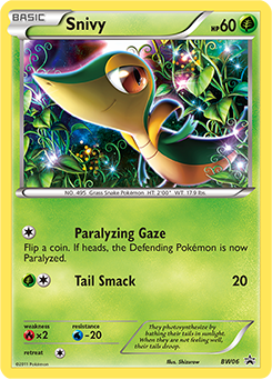 Snivy - BW Black Star Promos - #BW06 - Pokemon TCG card