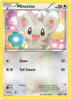 Minccino #BW13 Minccino - BW Black Star Promos - #BW13 - Pokemon TCG card