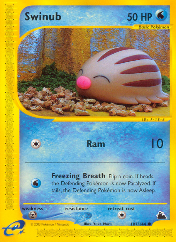 Swinub - Skyridge - #107 - Pokemon TCG card