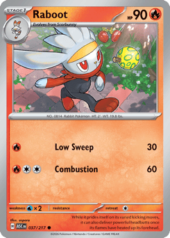 Raboot - Ascended Heroes - #37 - Pokemon TCG card