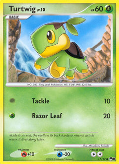 Turtwig - POP Series 8 - #17 - Pokemon TCG card