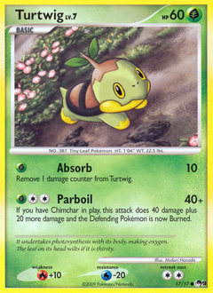 Turtwig - POP Series 9 - #17 - Pokemon TCG card