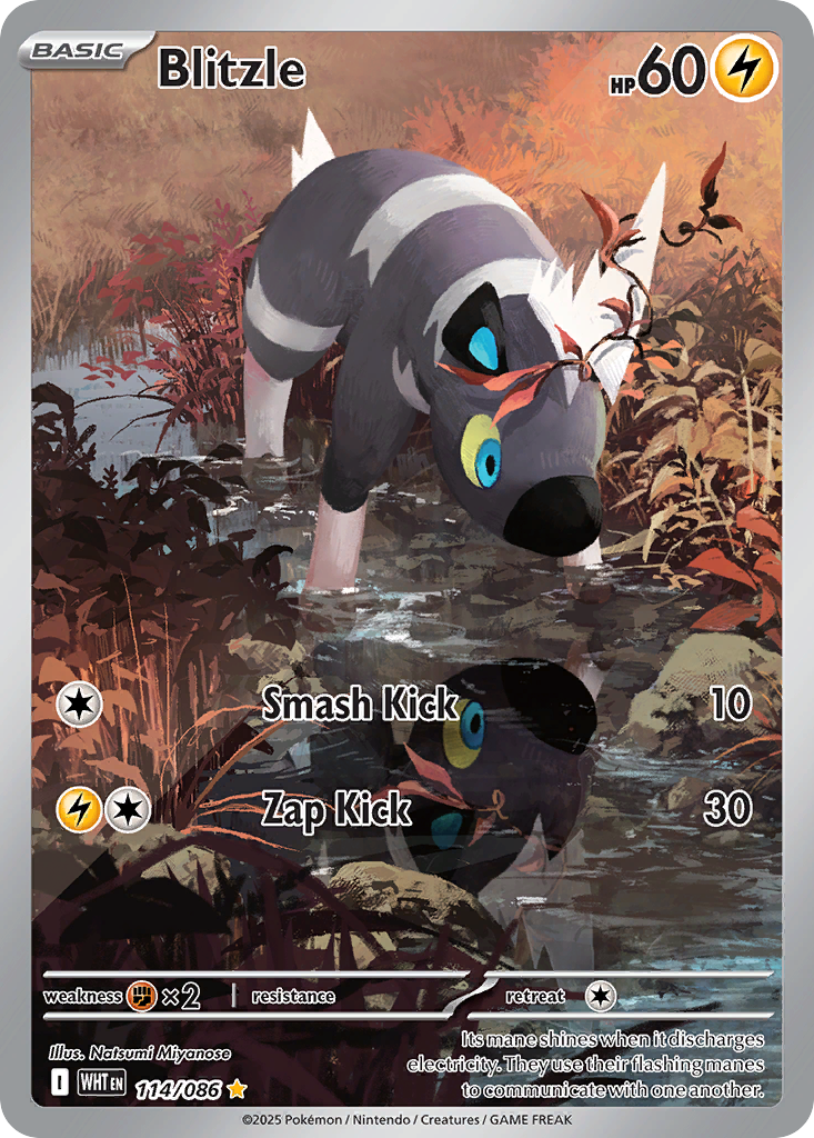 Blitzle - White Flare - #114 - Pokemon TCG card