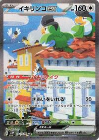 Squawkabilly ex #094 Squawkabilly ex - Snow Hazard - #094 - Pokemon TCG card