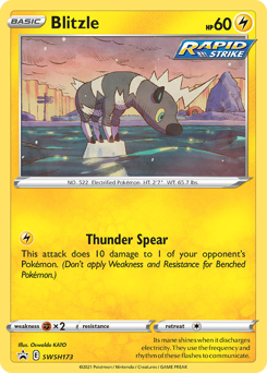 Blitzle - SWSH Black Star Promos - #SWSH173 - Pokemon TCG card