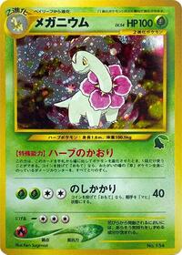 Meganium - Intro Pack Neo (Chikorita) - #614091 - Pokemon TCG card