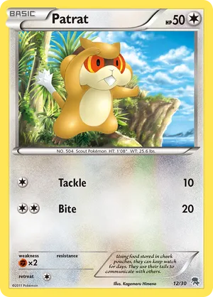 Patrat - Black & White Trainer Kit Zoroark - #12 - Pokemon TCG card