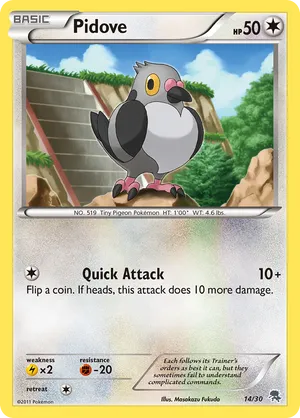 Pidove - Black & White Trainer Kit Zoroark - #14 - Pokemon TCG card