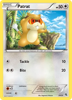 Patrat - Black & White Trainer Kit Zoroark - #29 - Pokemon TCG card