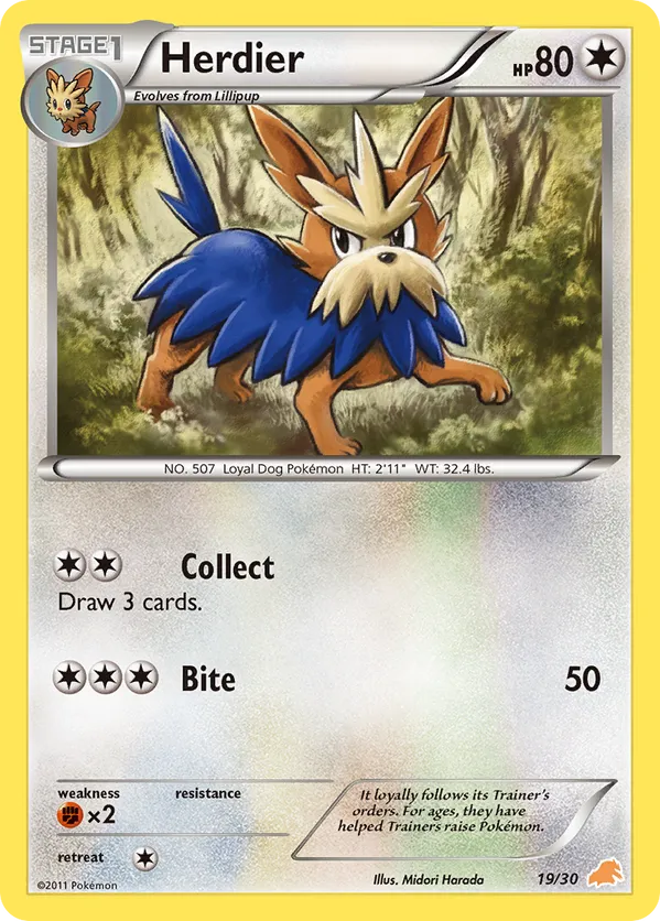 Herdier - Black & White Trainer Kit Excadrill - #19 - Pokemon TCG card