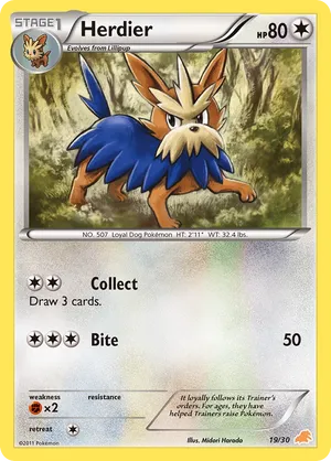 Herdier - Black & White Trainer Kit Excadrill - #19 - Pokemon TCG card