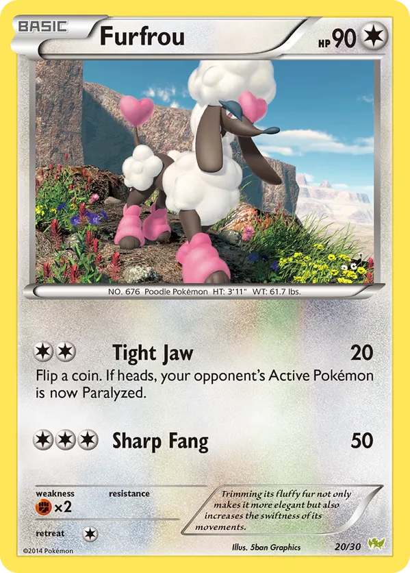 Furfrou - XY Trainer Kit Noivern - #20 - Pokemon TCG card