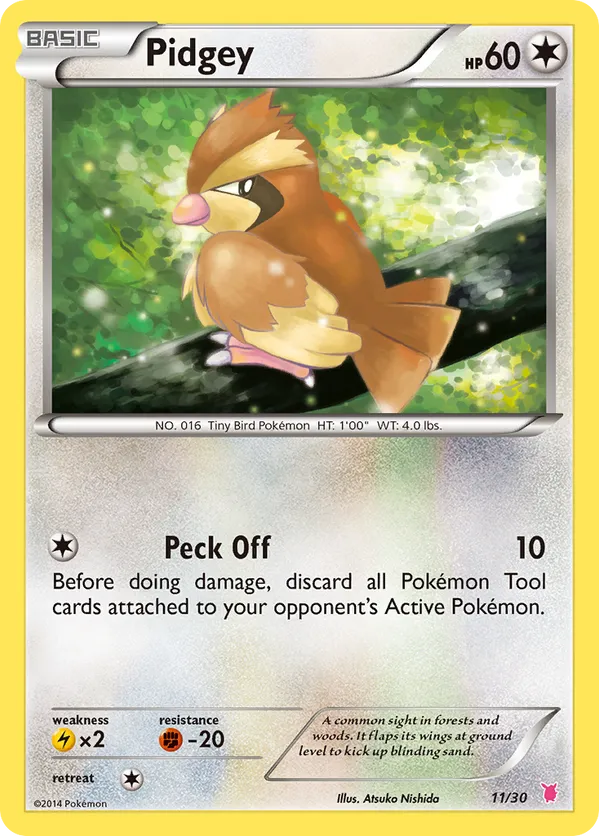 Pidgey - XY Trainer Kit Wigglytuff - #11 - Pokemon TCG card