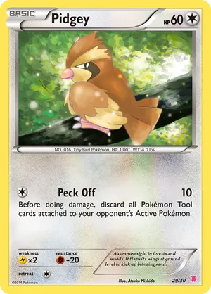Pidgey #29 Pidgey - XY Trainer Kit Wigglytuff - #29 - Pokemon TCG card