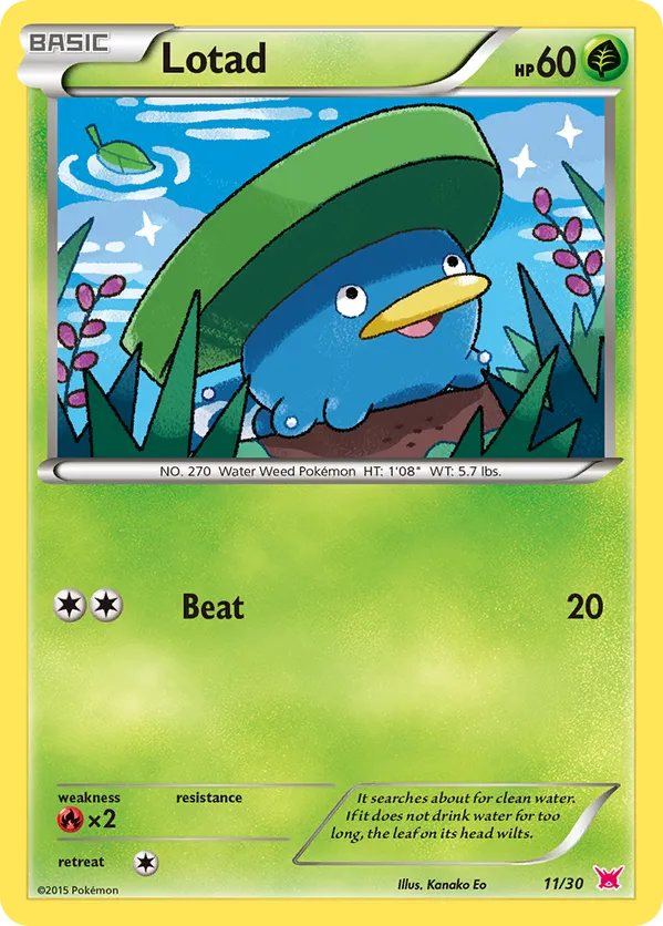 Lotad - XY Trainer Kit Latias - #11 - Pokemon TCG card
