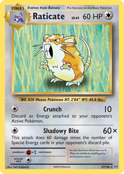 Raticate - Evolutions - #67 - Pokemon TCG card