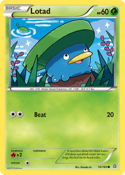 Lotad #10 Lotad - Primal Clash - #10 - Pokemon TCG card