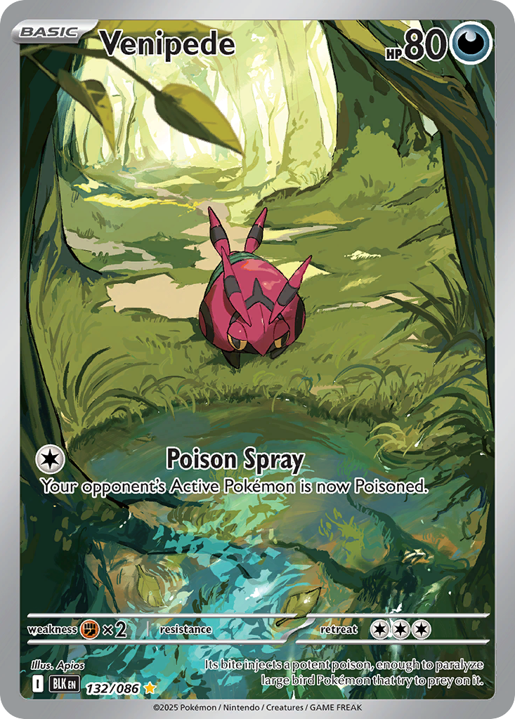 Venipede - Black Bolt - #132 - Pokemon TCG card