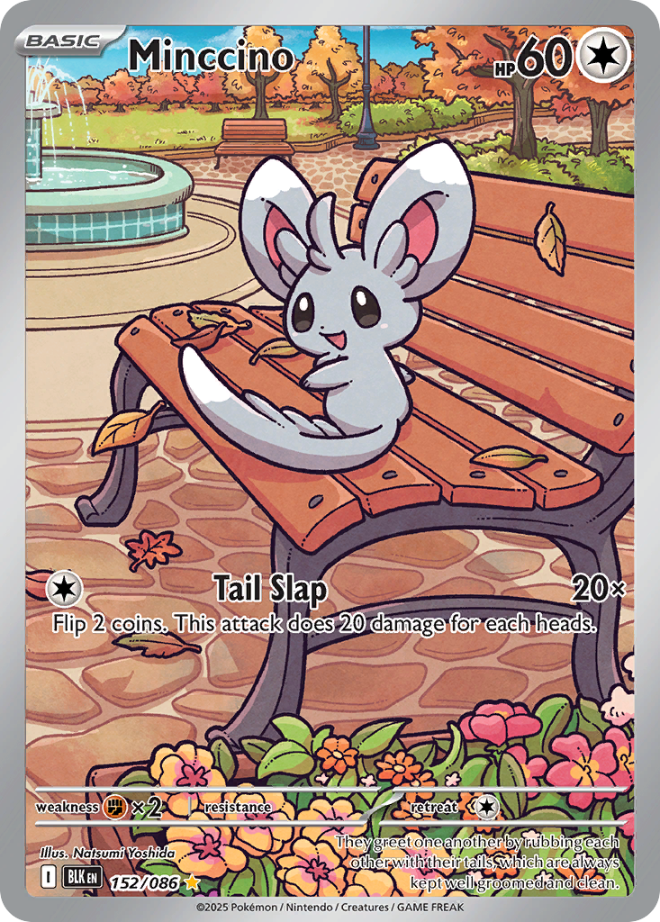 Minccino - Black Bolt - #152 - Pokemon TCG card