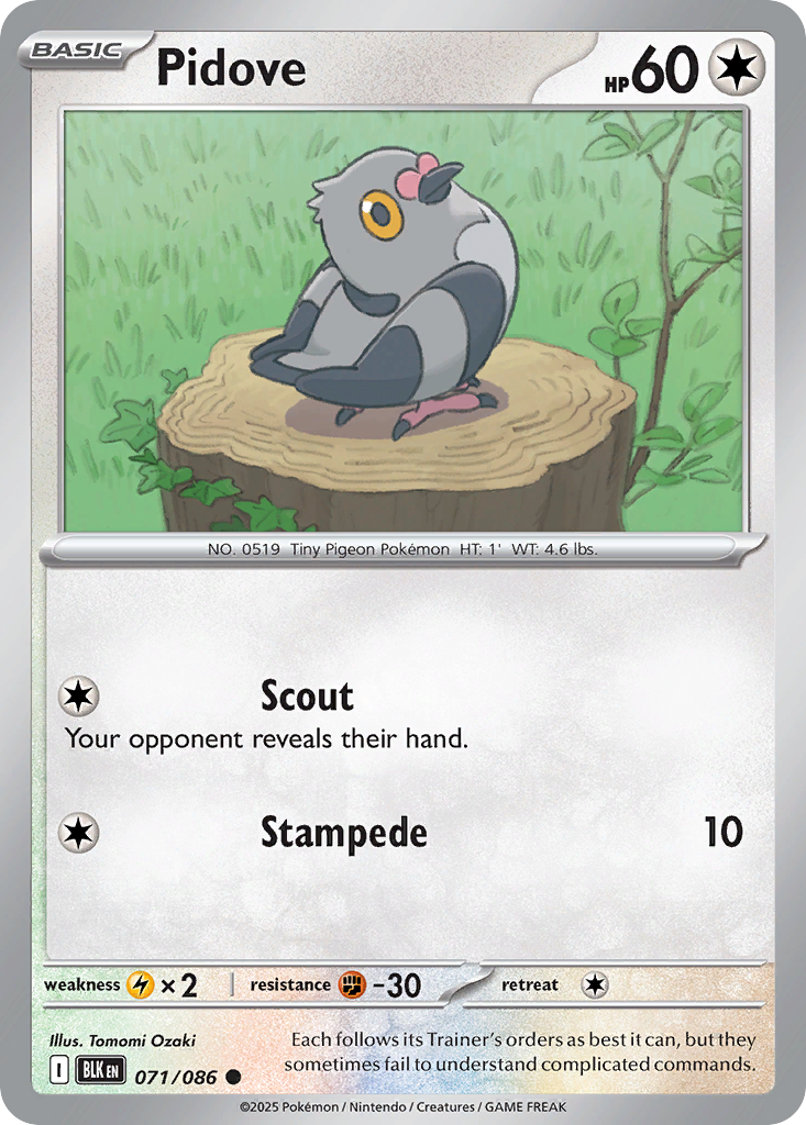 Pidove - Black Bolt - #71 - Pokemon TCG card