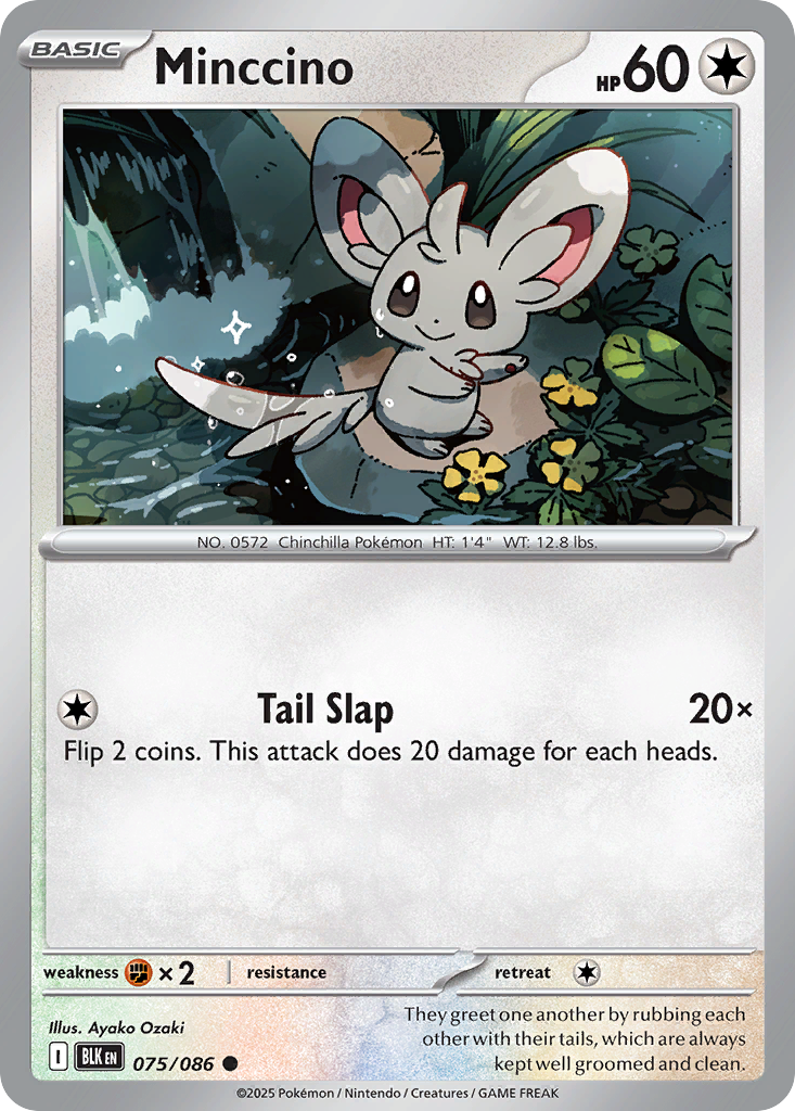 Minccino - Black Bolt - #75 - Pokemon TCG card